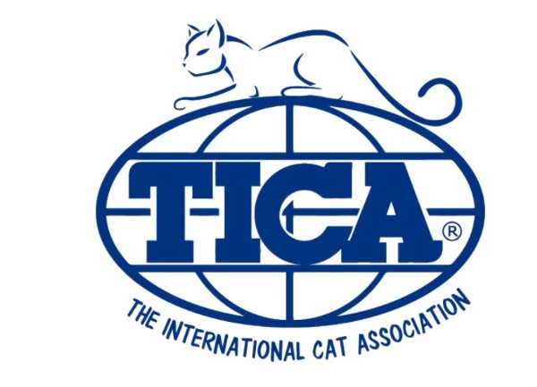 Tica.jpg